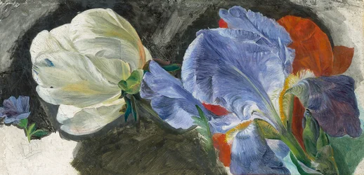 Eine Studie von Blumen